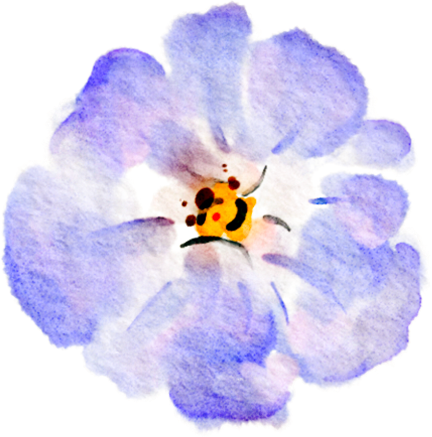 Blue violet watercolor rose flower